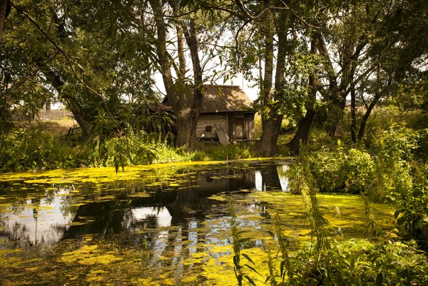 Поленов заброшенный сад