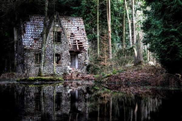 Друскининкай лес избушка