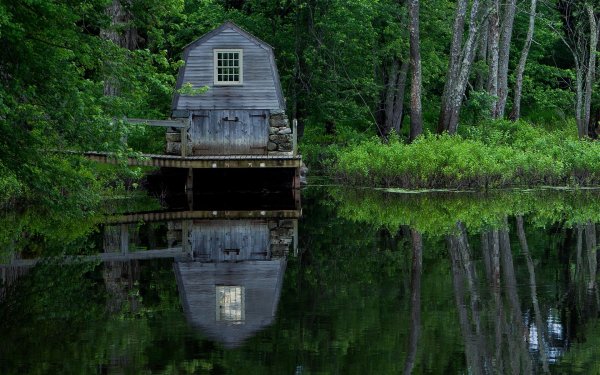 Хижина в лесу у озера