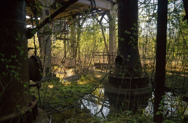 Заброшенный нефтеперерабатывающий завод в Ленинградской области