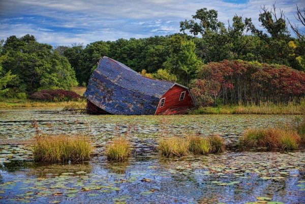 Заброшенное болото