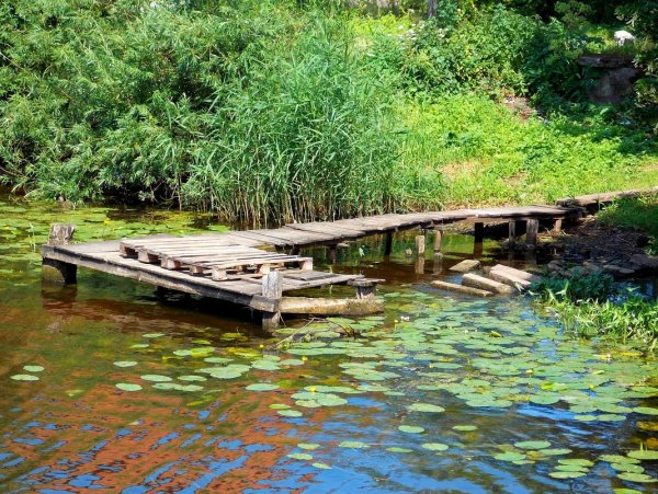Лава деревянные мостки на реке