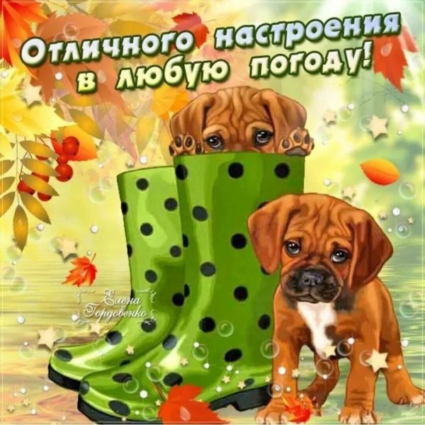 Хорошего настроения в любуютпогоду