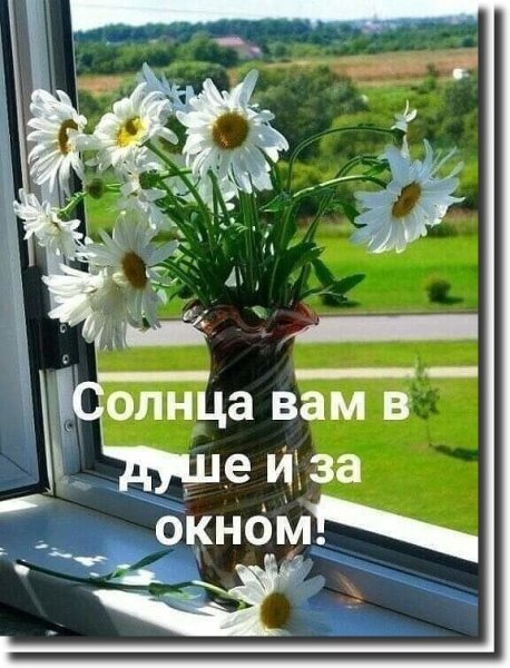 Утро доброе в окошко