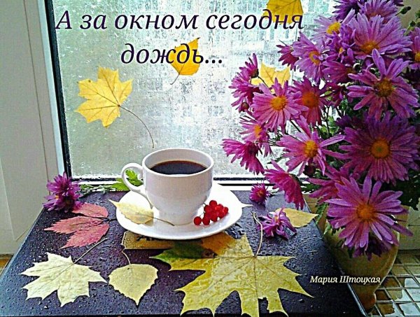 С добрым осенним дождливым утром