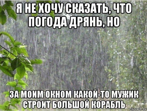 Шутки про дождливую погоду
