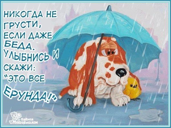Открытки про дождливую погоду прикольные летние