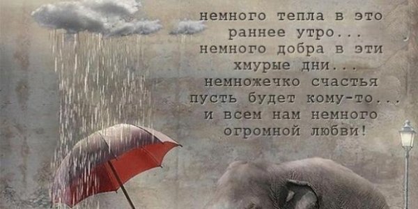 Пожелания доброго утра в дождливую погоду