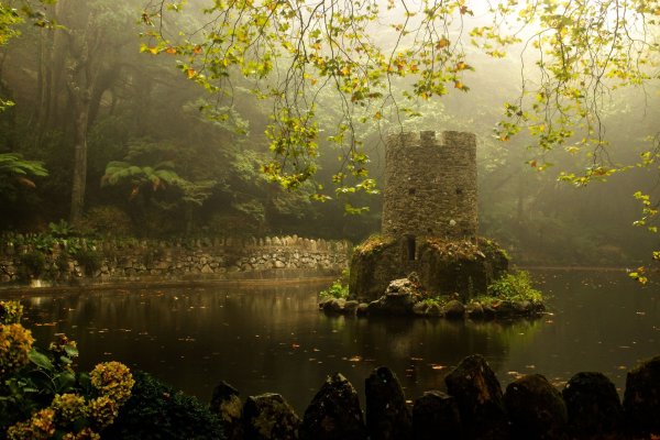 Синтра Португалия лес