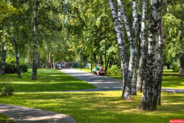 Парк Березовая роща Пушкино