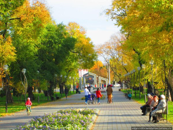 Комсомольский парк Тюмень