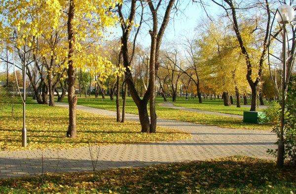 Скверы Тюмени