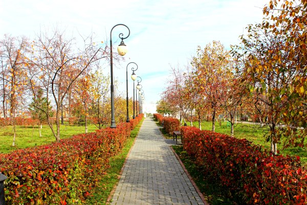 Александровский парк Тюмень