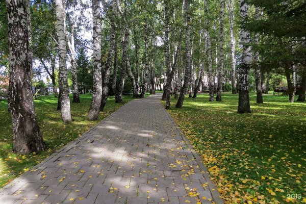 Сквер Березовая роща Тюмень