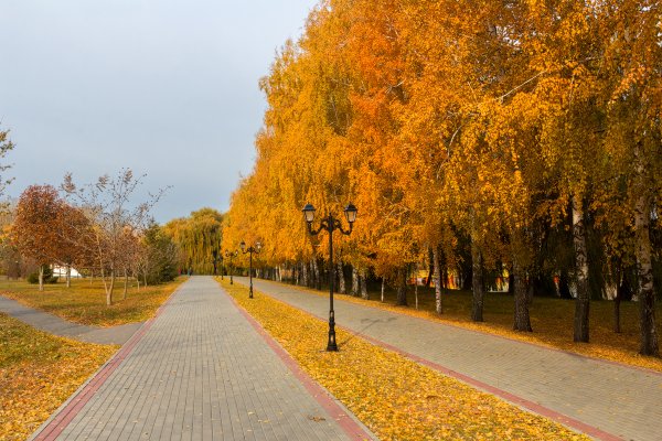 Экопарк в Тюмени осенью