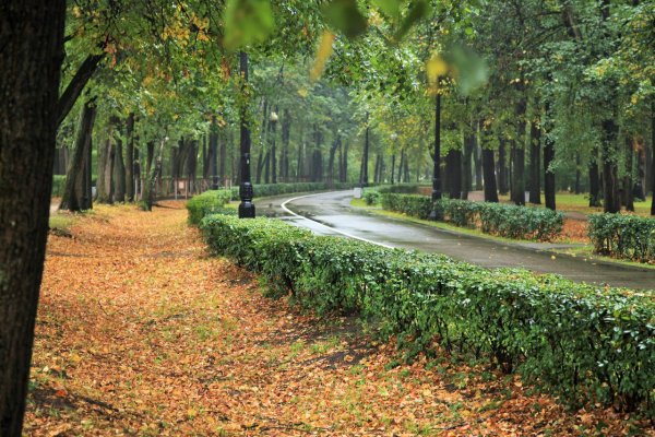 Измайловский парк, Москва, аллея большого круга