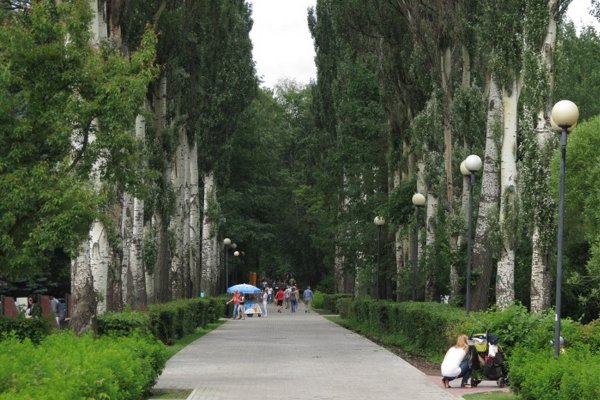 Лесопарк Измайлово Москва