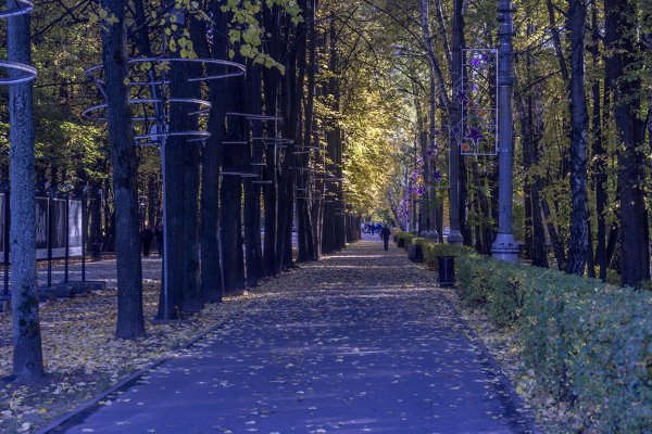 Измайловский парк Южное Измайлово