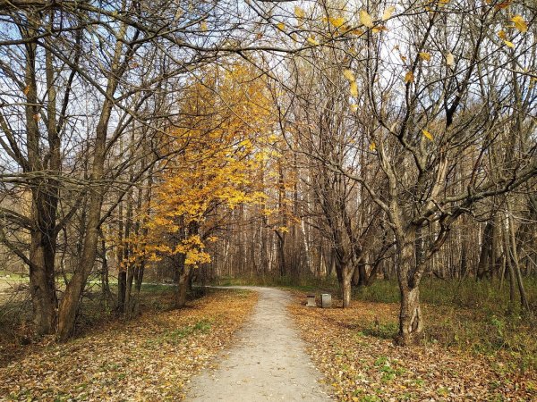 Измайловский парк 2004