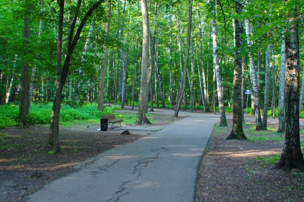 Природно-исторический парк Измайлово