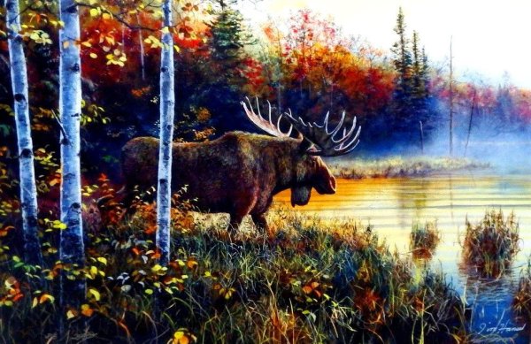 Пейзаж с лосем