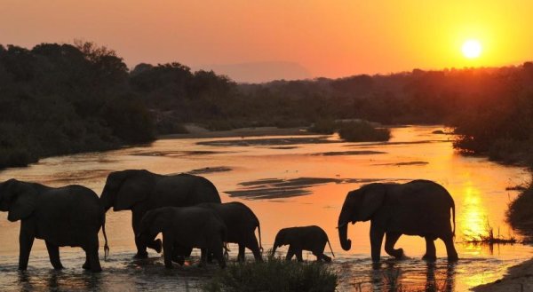 Южная Африка парк Крюгера