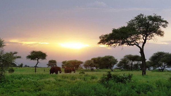 Национальный парк Крюгера природа