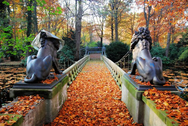 Парк большой Тиргартен