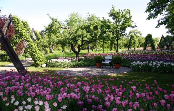 Берлин сады и парки