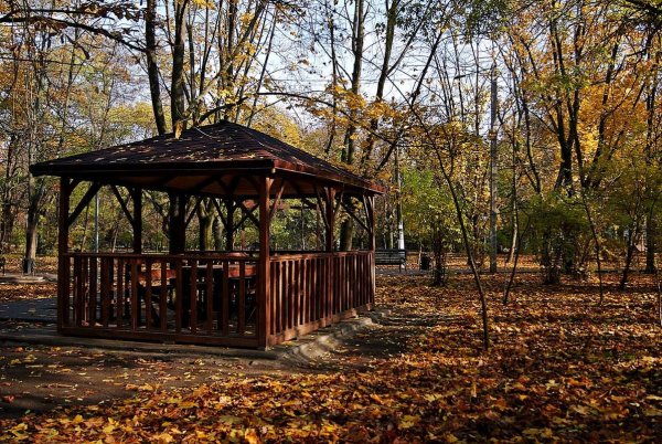 Алешкинский парк беседки