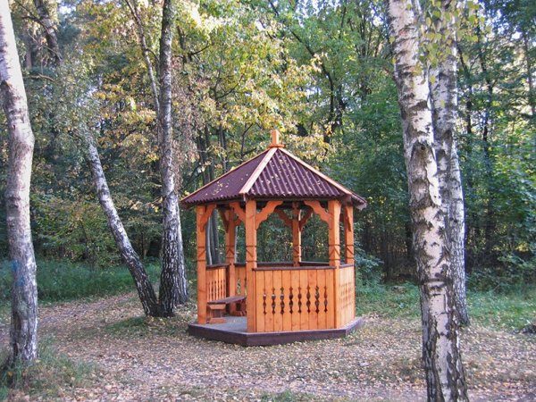 Кузьминский лесопарк беседка круглая