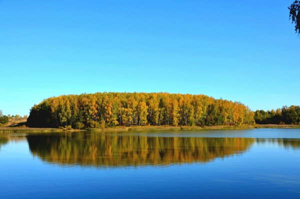 Кощино озеро Смоленск
