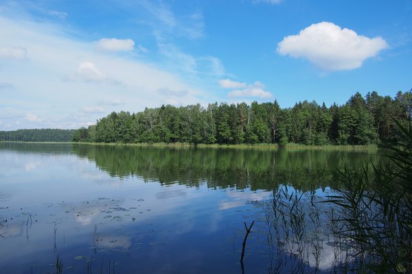 Сапшо озеро Смоленская
