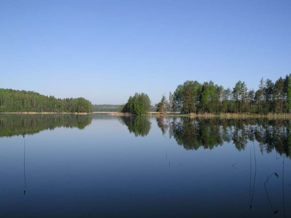 Озеро Рытое Смоленск