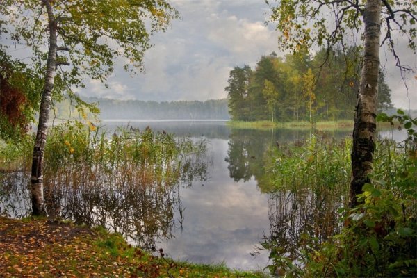 Озеро Ельшанское Смоленское Поозерье