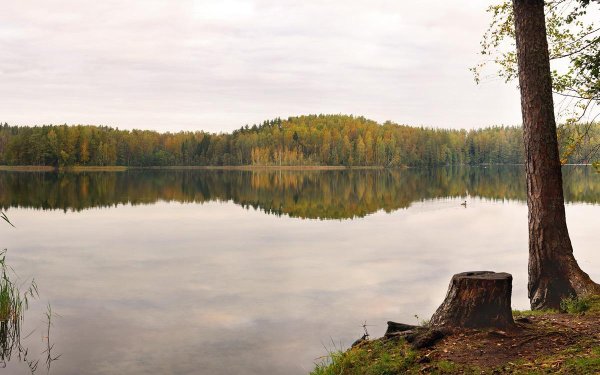 Озеро Чистик Смоленская
