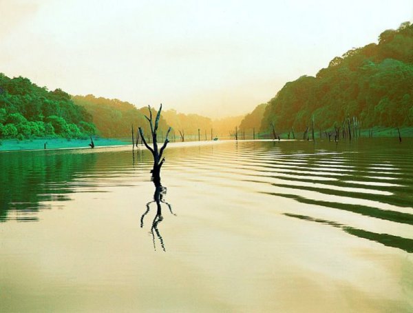 Затонувший лес Перияр