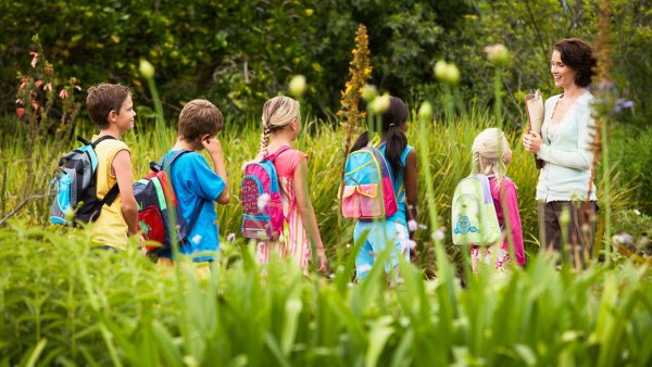 Экскурсия на природу