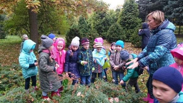 Экскурсия Бирюлевский дендропарк