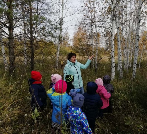 Экскурсия в лес