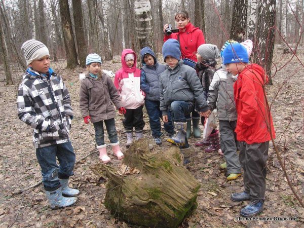 Экскурсия в лес