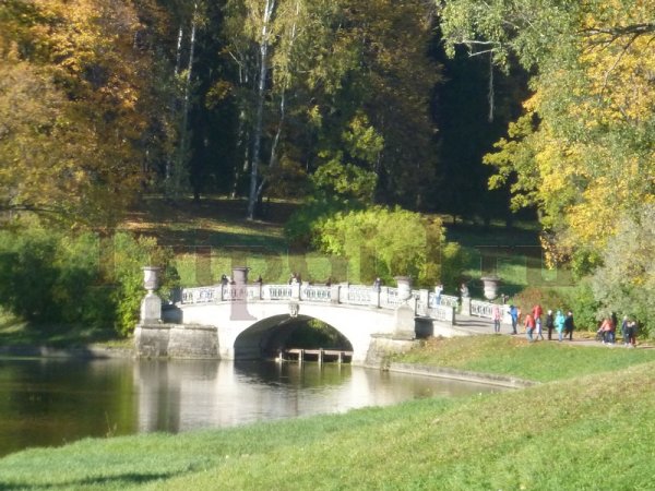 Павловский парк на прогулки