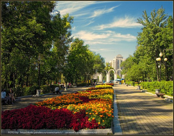 Парк Динамо Хабаровск