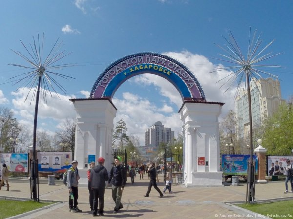 Парк им Гайдара Хабаровск