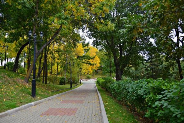 Хабаровск краевой парк