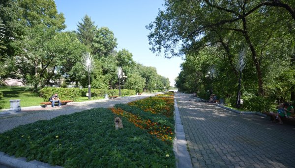 Парк Динамо и Гайдара Хабаровск