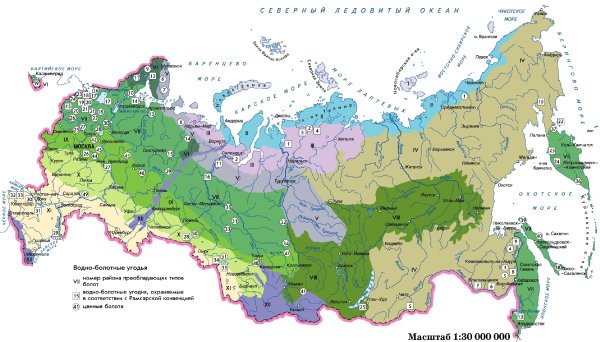 Болота на территории России на карте