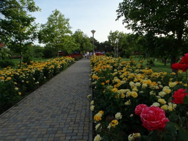 Парк Ореховая роща Анапа