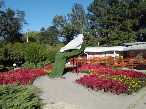 Центральный парк Анапа