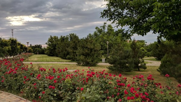 Парк Ореховая роща Анапа